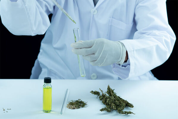 Uses of CBG Cannabigerol