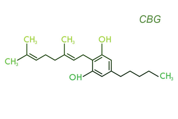 What is CBG Cannabigerol